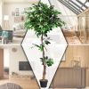 5.5 Feet Artificial Ficus Silk Tree with Wood Trunks