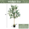 5.5 Feet Artificial Eucalyptus Tree with 517 Silver Dollar Leaves