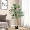 5.5 Feet Artificial Eucalyptus Tree with 517 Silver Dollar Leaves