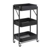 SF-3 Flodable shelving unit