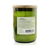 PADDYWAX - Eco Candle - Bordeaux Fig & Vetiver 226g/8oz