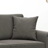 Throw Pillows 2 pcs Dark Gray 15.7"x15.7" Velvet