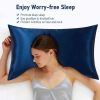 Lacette Silk Pillowcase 2 Pack for Hair and Skin, 100% Mulberry Silk, Double-Sided Silk Pillow Cases with Hidden Zipper (Navy Blue, King 20" x 36")