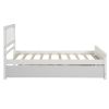 Twin size Platform Bed with Trundle; White