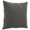 Throw Pillows 2 pcs Dark Gray 15.7"x15.7" Velvet