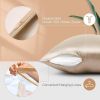 Lacette Silk Pillowcase 2 Pack for Hair and Skin, 22 Momme 100% Mulberry Silk, Double-Sided Silk Pillow Cases with Hidden Zipper (Champagne, King 20"