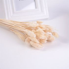 Dried Flowers Pampas Grass Mixed Bunny Rabbit Tail Lagurus Bouquet Wedding Christmas Decoration Natural Reed Flower Home Decora (Color: Gem white, size: 30pcs)