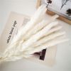 Dried Flowers Pampas Grass Mixed Bunny Rabbit Tail Lagurus Bouquet Wedding Christmas Decoration Natural Reed Flower Home Decora