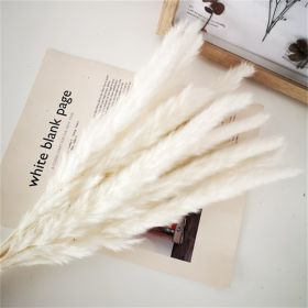 Dried Flowers Pampas Grass Mixed Bunny Rabbit Tail Lagurus Bouquet Wedding Christmas Decoration Natural Reed Flower Home Decora (Color: white pampa, size: 30pcs)