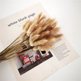 Dried Flowers Pampas Grass Mixed Bunny Rabbit Tail Lagurus Bouquet Wedding Christmas Decoration Natural Reed Flower Home Decora (Color: natural rabbit tail, size: 30pcs)