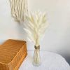 Dried Flowers Pampas Grass Mixed Bunny Rabbit Tail Lagurus Bouquet Wedding Christmas Decoration Natural Reed Flower Home Decora