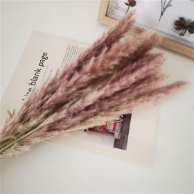 Dried Flowers Pampas Grass Mixed Bunny Rabbit Tail Lagurus Bouquet Wedding Christmas Decoration Natural Reed Flower Home Decora (Color: natural pampa, size: 30pcs)