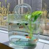 Creative transparent glass handbag fish tank vase decoration living room flower arrangement hydroponic decoration fish tank vase