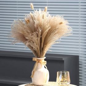 Phragmites Dried Flowers Bouquet Long Bouquet Reed Dried Natural Dried Pampa Grass Bouquet Home Wedding Living Room Decoration (Color: 60pcs  No vase, Ships From: China)