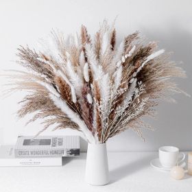 Phragmites Dried Flowers Bouquet Long Bouquet Reed Dried Natural Dried Pampa Grass Bouquet Home Wedding Living Room Decoration (Color: 80pcs  No vase, Ships From: China)