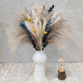 Phragmites Dried Flowers Bouquet Long Bouquet Reed Dried Natural Dried Pampa Grass Bouquet Home Wedding Living Room Decoration (Color: 76pcs  No vase, Ships From: China)