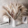 60/62/76/80/85/100pcs Boho Pampas Grass Bouquet Home Decor Floral Dried Flowers Wedding Arrangements Natural Reed Bunny Tails