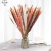 Dried Flowers Pampas Grass Mixed Bunny Rabbit Tail Lagurus Bouquet Wedding Christmas Decoration Natural Reed Flower Home Decora