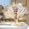 62/100/109pcs Natural Dried Pampa Grass Bouquet Phragmites Dried Flower Boho Home Decor Bouquet Room Holiday Wedding Party Decor