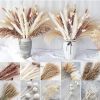 62/100/109pcs Natural Dried Pampa Grass Bouquet Phragmites Dried Flower Boho Home Decor Bouquet Room Holiday Wedding Party Decor