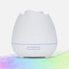 2023 New Rose Aroma Diffuser Negative Ion Diffuser Humidifier Colorful Atmosphere Lamp Aroma Diffuser