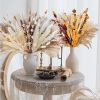 109pcs Natural Dried Pampa Grass Bouquet Large Phragmites Dried Flower Boho Home Decor Bouquet Room Holiday Wedding Party Decor